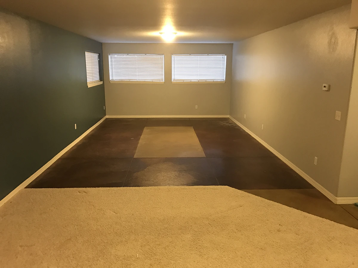 Basement Bar and Rec Room